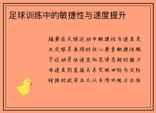 足球训练中的敏捷性与速度提升